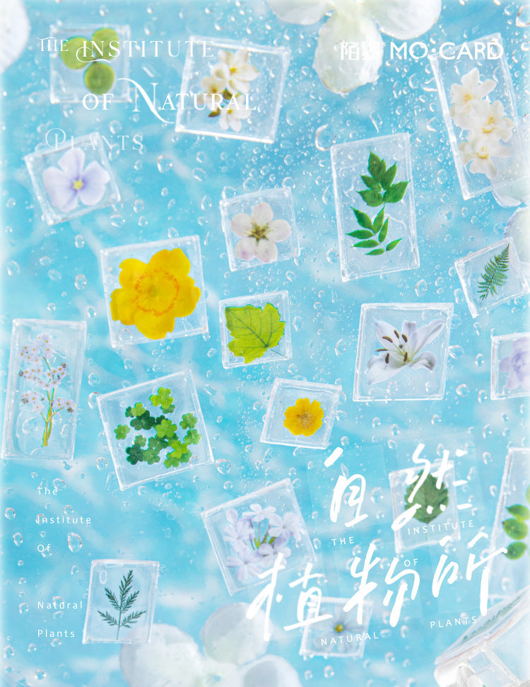 Momo Acrylic 3D Stereo Decorative Stickers Natural Plant Institute Series Handmade DIY Mobile Phone Case Decorative Stickers