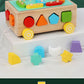 3 Cross-Border Kidsren's Educational Toys Farm Orchard Shape Building Blocks Matching Insect Catching and Carrot Pulling Intelligence Box Toys