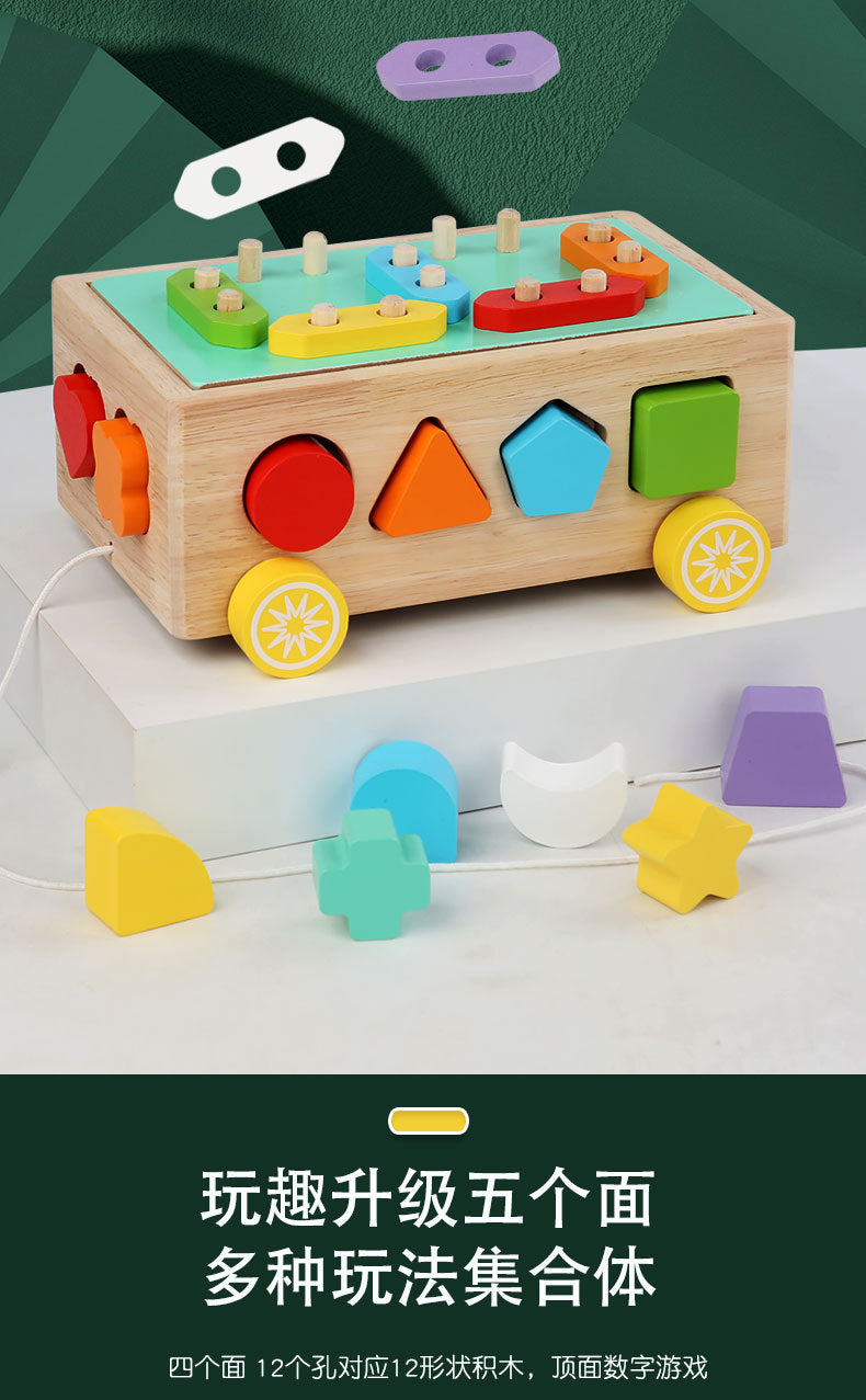 3 Cross-Border Kidsren's Educational Toys Farm Orchard Shape Building Blocks Matching Insect Catching and Carrot Pulling Intelligence Box Toys