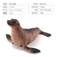 Simulation of marine animal model suit 10 solid seal sea lion walrus static ornaments hand toys