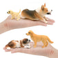 Cross-border Simulation Dog Model Golden Retriever Bona Mountain Dog St. Bernard Short-legged Corgi Desktop Static Ornaments