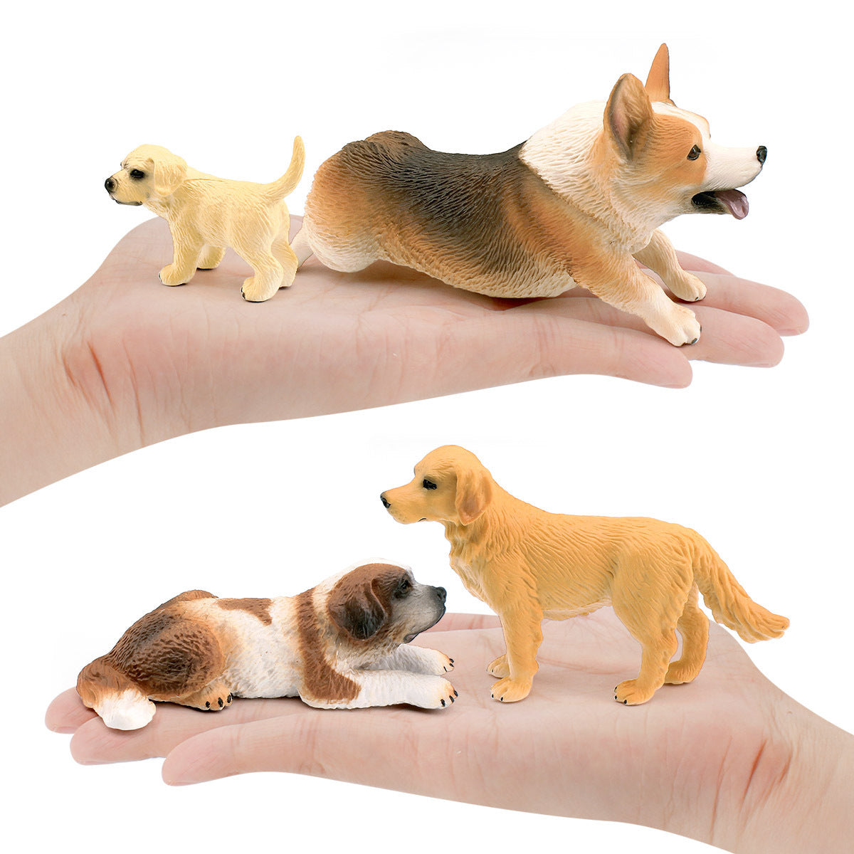Cross-border Simulation Dog Model Golden Retriever Bona Mountain Dog St. Bernard Short-legged Corgi Desktop Static Ornaments