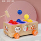 3 Cross-Border Kidsren's Educational Toys Farm Orchard Shape Building Blocks Matching Insect Catching and Carrot Pulling Intelligence Box Toys