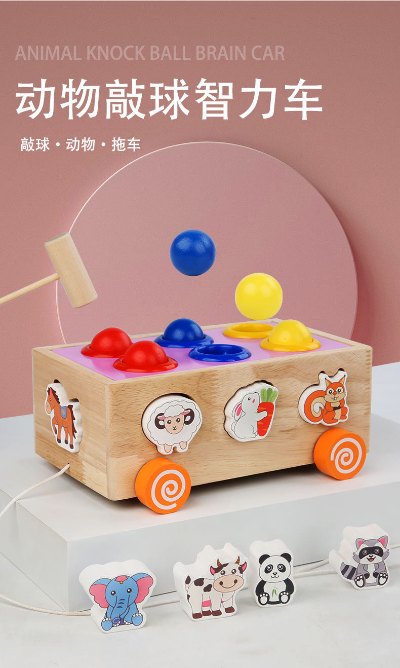 3 Cross-Border Kidsren's Educational Toys Farm Orchard Shape Building Blocks Matching Insect Catching and Carrot Pulling Intelligence Box Toys