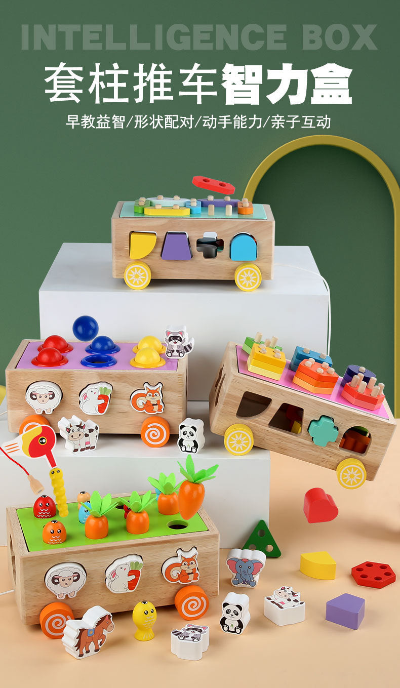 3 Cross-Border Kidsren's Educational Toys Farm Orchard Shape Building Blocks Matching Insect Catching and Carrot Pulling Intelligence Box Toys