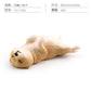 Cross-border Children's Cognitive Simulation Pet Dog Model Sleeping Posture French Bulldog Chai Dog Decorative Ornament Toy