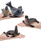 Simulation of marine animal model suit 10 solid seal sea lion walrus static ornaments hand toys