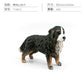 Cross-border Simulation Dog Model Golden Retriever Bona Mountain Dog St. Bernard Short-legged Corgi Desktop Static Ornaments