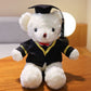 Graduation Bear Doll Doctor Bear Bachelor's Uniform Bear Doll Graduation Bear Gift for College Students with Logo Printing