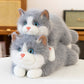 Cross-Border Simulation Cat Plush Toy, Cute Kitten Doll, Lying Cat Living Room Decoration, Children's Gift Wholesale