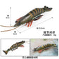Cross-border toy marine life simulation lobster marine animal model submarine toy doll decoration plastic