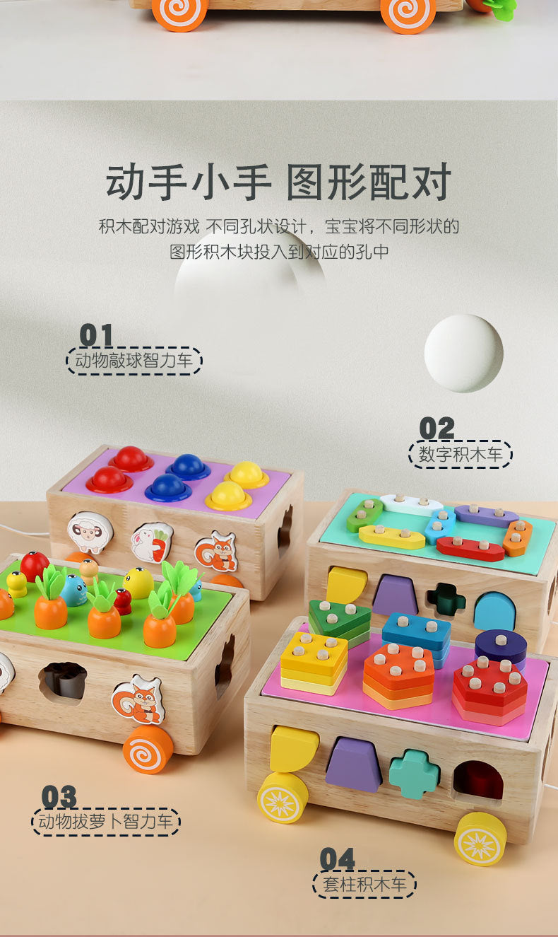 3 Cross-Border Kidsren's Educational Toys Farm Orchard Shape Building Blocks Matching Insect Catching and Carrot Pulling Intelligence Box Toys