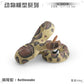 Simulation wild reptile model children's cognitive tummy giant coral snake boa trick decoration