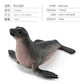Simulation of marine animal model suit 10 solid seal sea lion walrus static ornaments hand toys
