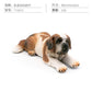 Cross-border Simulation Dog Model Golden Retriever Bona Mountain Dog St. Bernard Short-legged Corgi Desktop Static Ornaments