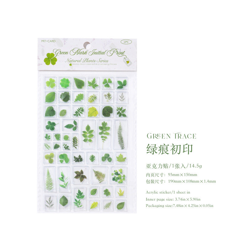 Momo Acrylic 3D Stereo Decorative Stickers Natural Plant Institute Series Handmade DIY Mobile Phone Case Decorative Stickers