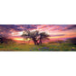 Oak Tree 2000 Piece Panoramic Jigsaw Puzzle Heye