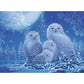 Owls in Moonlight 500 Piece Glow in the Dark Jigsaw Puzzle Ravensburger