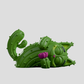 Kaleidos Creative: Pricklepuss Blind Box