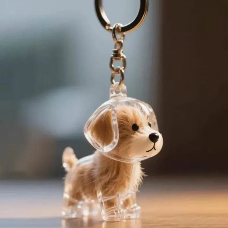 Adorable Cat Hair Storage Pendant Keychain Transparent Cat/Dog Hair Storage Container for Pet Lover DIY Pet Memorial Keychain