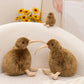 12/28CM Simulation Brown Kiwi Plush Toys Soft Stuffed Animal Doll Lifelike Bird Toys Kiwi Pillow Gifts