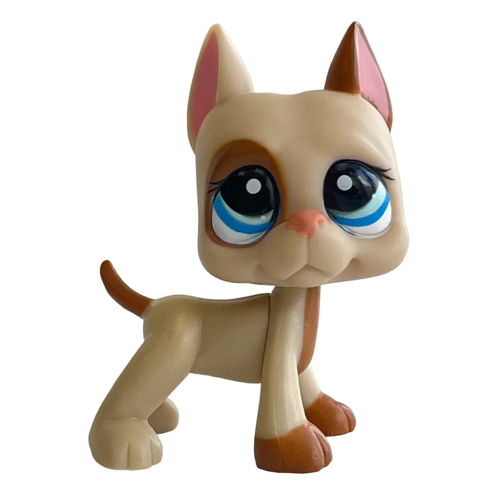 Rare pet toy Stands Short Hair Kitten Dog Dachshund Collie Spaniel Great Dane Original Bobble head toy lps