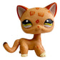 Rare pet toy Stands Short Hair Kitten Dog Dachshund Collie Spaniel Great Dane Original Bobble head toy lps