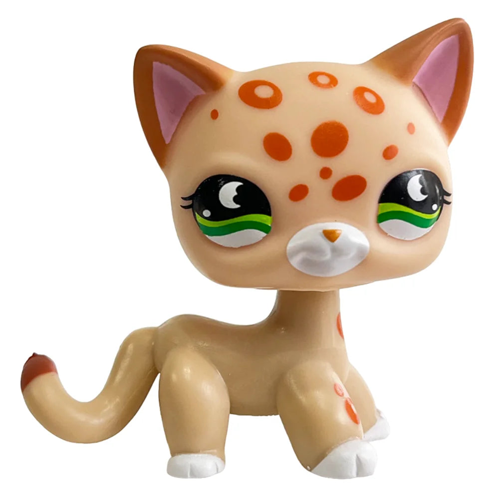 Rare pet toy Stands Short Hair Kitten Dog Dachshund Collie Spaniel Great Dane Original Bobble head toy lps