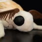 25cm Cute Silk Moth Fidelity Silkworm Plushie Fly Plush Toys Insect Lovers Decoration Soft Throw Pillows Children Halloween Gift