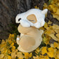 32cm Cute Cartoon Sleeping Cubone Dinosaur Plush Toy Doll Soft Comfort Pillow Seat Cushion Room Decorative Companion Doll Gifts