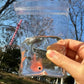 Cute Goldfish Squeeze Squishy Toy Soft TPR Pinch Fidget Gadget Transparent Bag Stress Relief Handheld Relax Novelty Accessory
