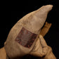 Fashion Movies Witch Wizard Hat Potters Sorting Hat Leather Halloween Party Props Dress Up Hat Men Cosplay Costume Accessories