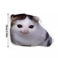 Oiiaioooooiai Cat Voice Keychain with Sound Decompression German Kitten Voice Reverses Cat Voice