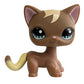 Rare pet toy Stands Short Hair Kitten Dog Dachshund Collie Spaniel Great Dane Original Bobble head toy lps