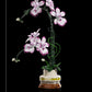 Creative Orchid Cymbidium Eternal Flowers Potted Plant Building Blocks Simulation Phalaenopsis DIY Bricks Toys Valentine's Gift