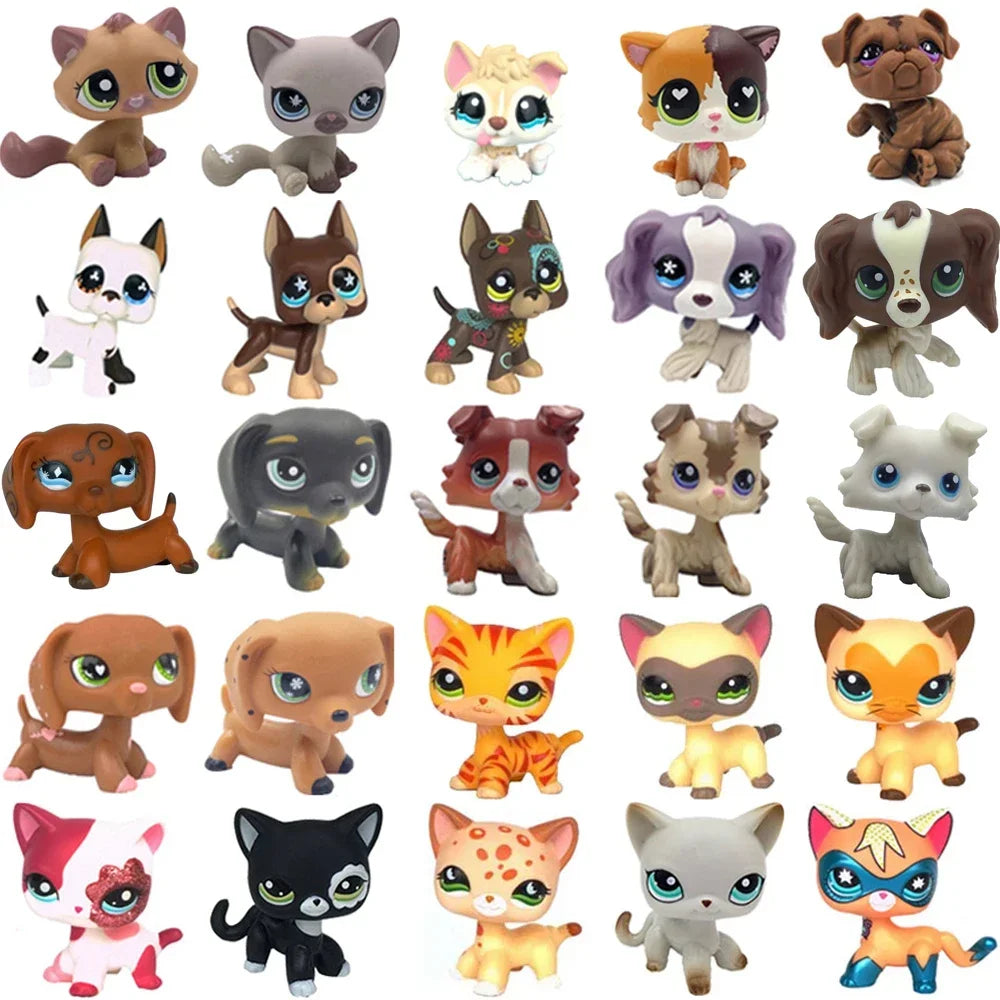 Rare pet toy Stands Short Hair Kitten Dog Dachshund Collie Spaniel Great Dane Original Bobble head toy lps
