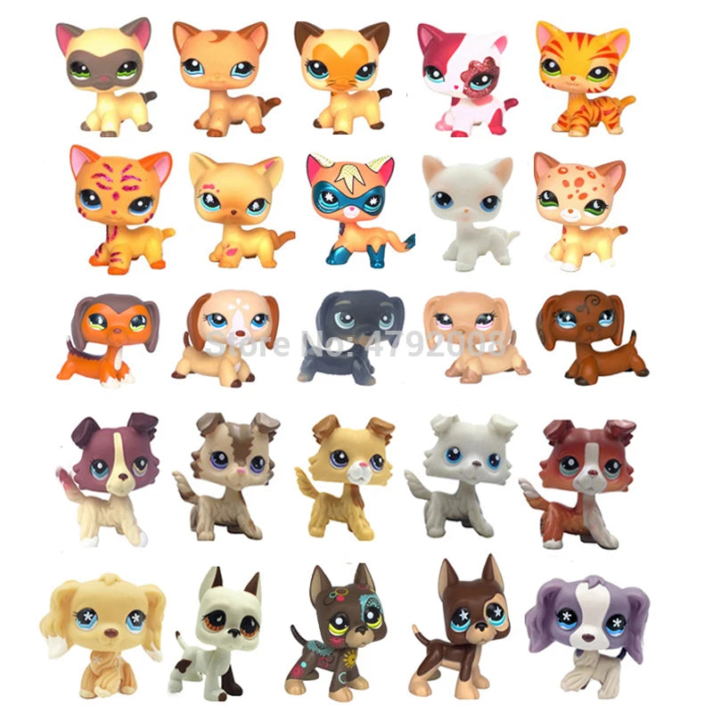 Rare pet toy Stands Short Hair Kitten Dog Dachshund Collie Spaniel Great Dane Original Bobble head toy lps