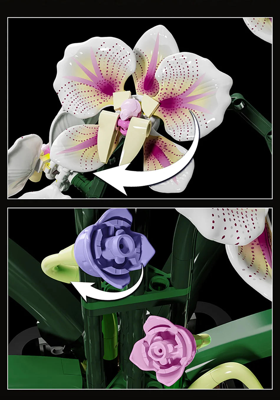 Creative Orchid Cymbidium Eternal Flowers Potted Plant Building Blocks Simulation Phalaenopsis DIY Bricks Toys Valentine's Gift