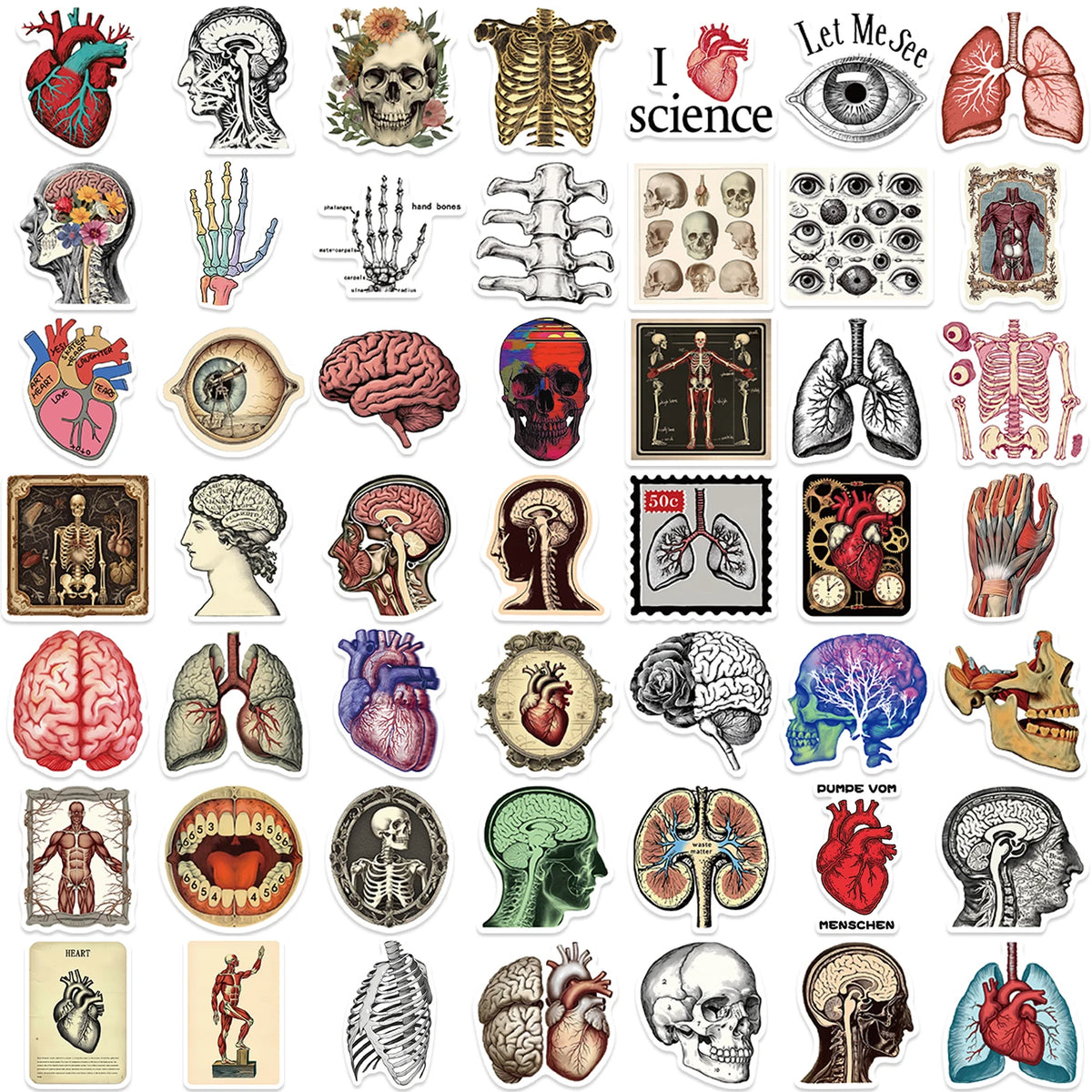 50pcs Retro Scientific Anatomy Stickers Waterproof PVC Decals for Laptops Scrapbooks Guitars Phones & More