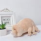 25cm Water Bear Tardigrade Plush Toy Soft Tardigrade Dolls Stuffed Animals Educational Toys for Children Kids Baby Birthday Gift