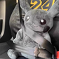 30CM Pokemon X Fragment Anime Character Dark Pikachu Doll Kawaii Pop Doll Black Pikachu Pillow Birthday Gift Female