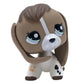 3pcs/lot Random Pet Short Hair Cat Dog Collie Dachshund Dane Spaniel Bobble Head Lps Toy