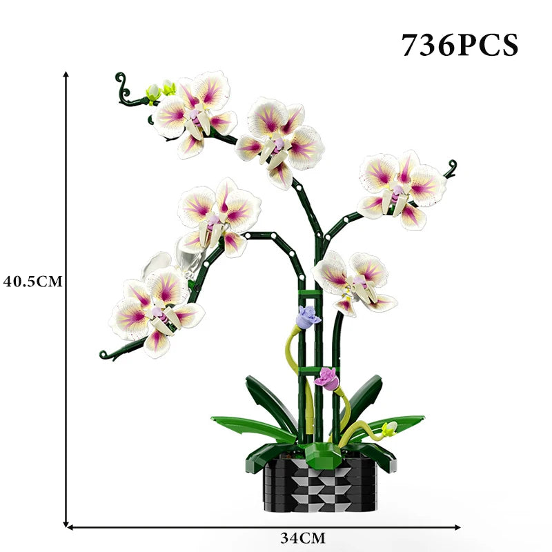 Creative Orchid Cymbidium Eternal Flowers Potted Plant Building Blocks Simulation Phalaenopsis DIY Bricks Toys Valentine's Gift