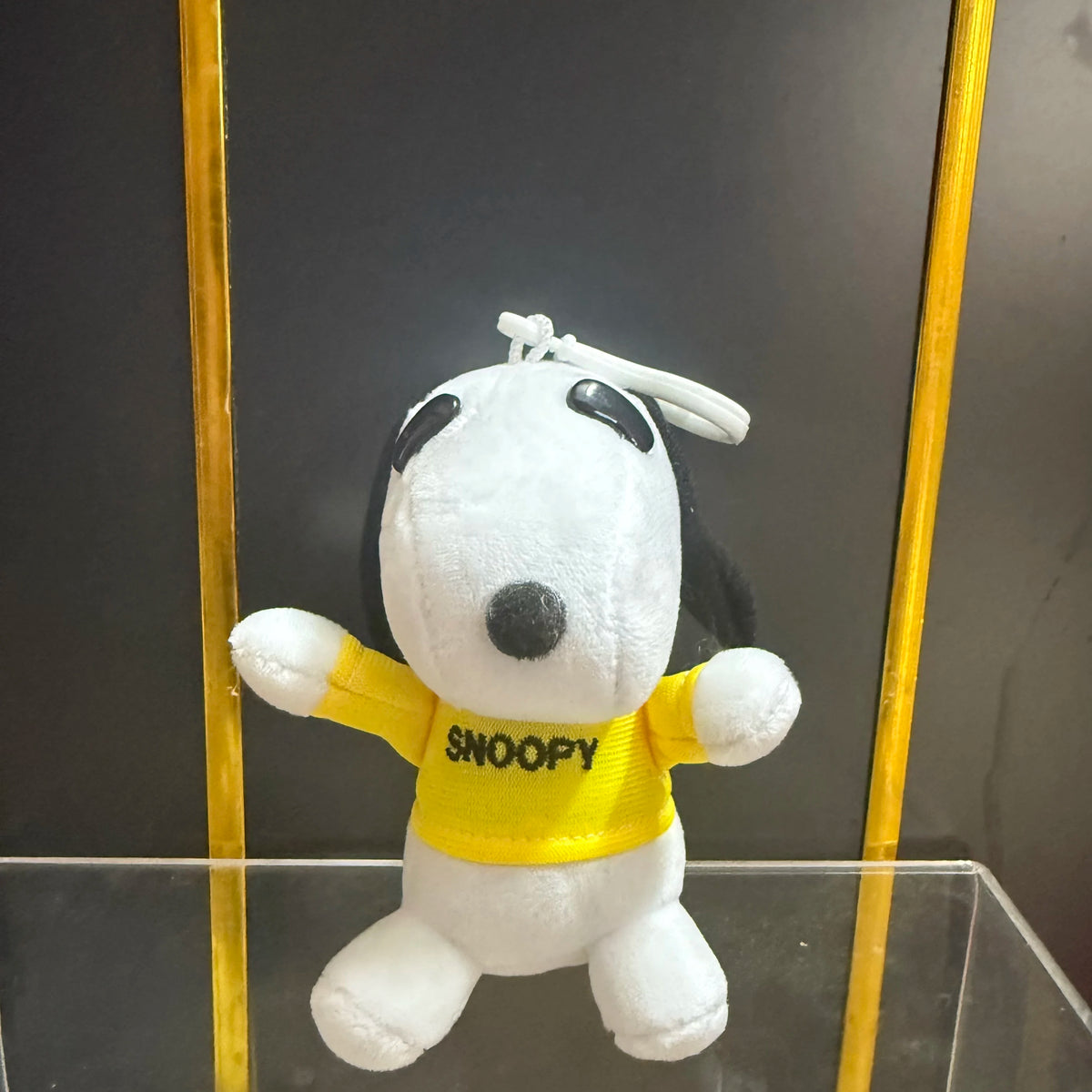 3piece 11CM Cute high quality Peanuts Snoopy Plush pendant toys Snoopy dog Woodstock KEY CHAIN animal toys