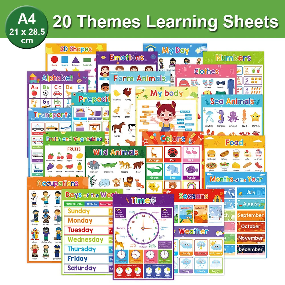Educational Posters for Preschool Kids English Words Learning Charts Teaching Aids Classroom Decoration Big Card Montessori