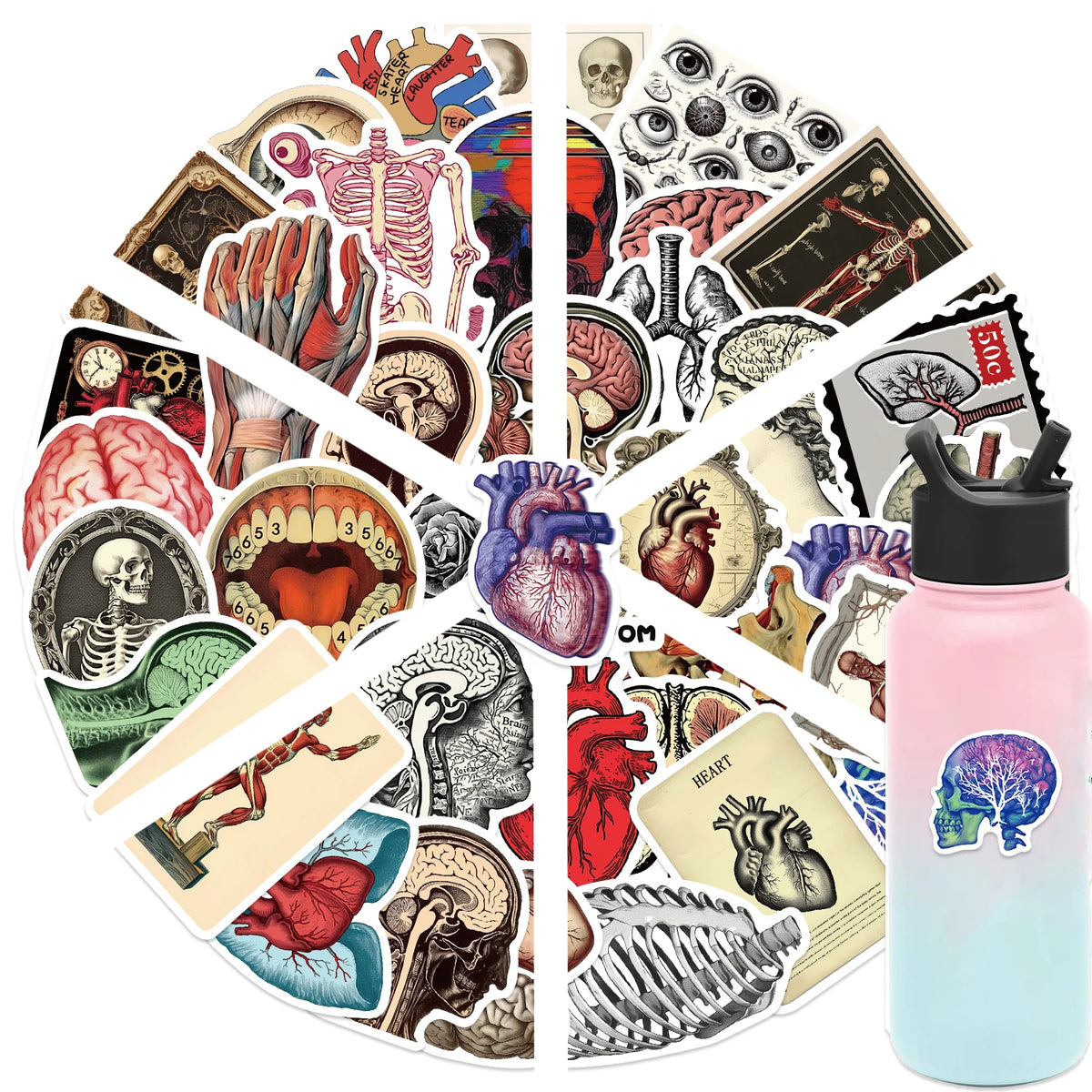 50pcs Retro Scientific Anatomy Stickers Waterproof PVC Decals for Laptops Scrapbooks Guitars Phones & More