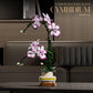 Creative Orchid Cymbidium Eternal Flowers Potted Plant Building Blocks Simulation Phalaenopsis DIY Bricks Toys Valentine's Gift