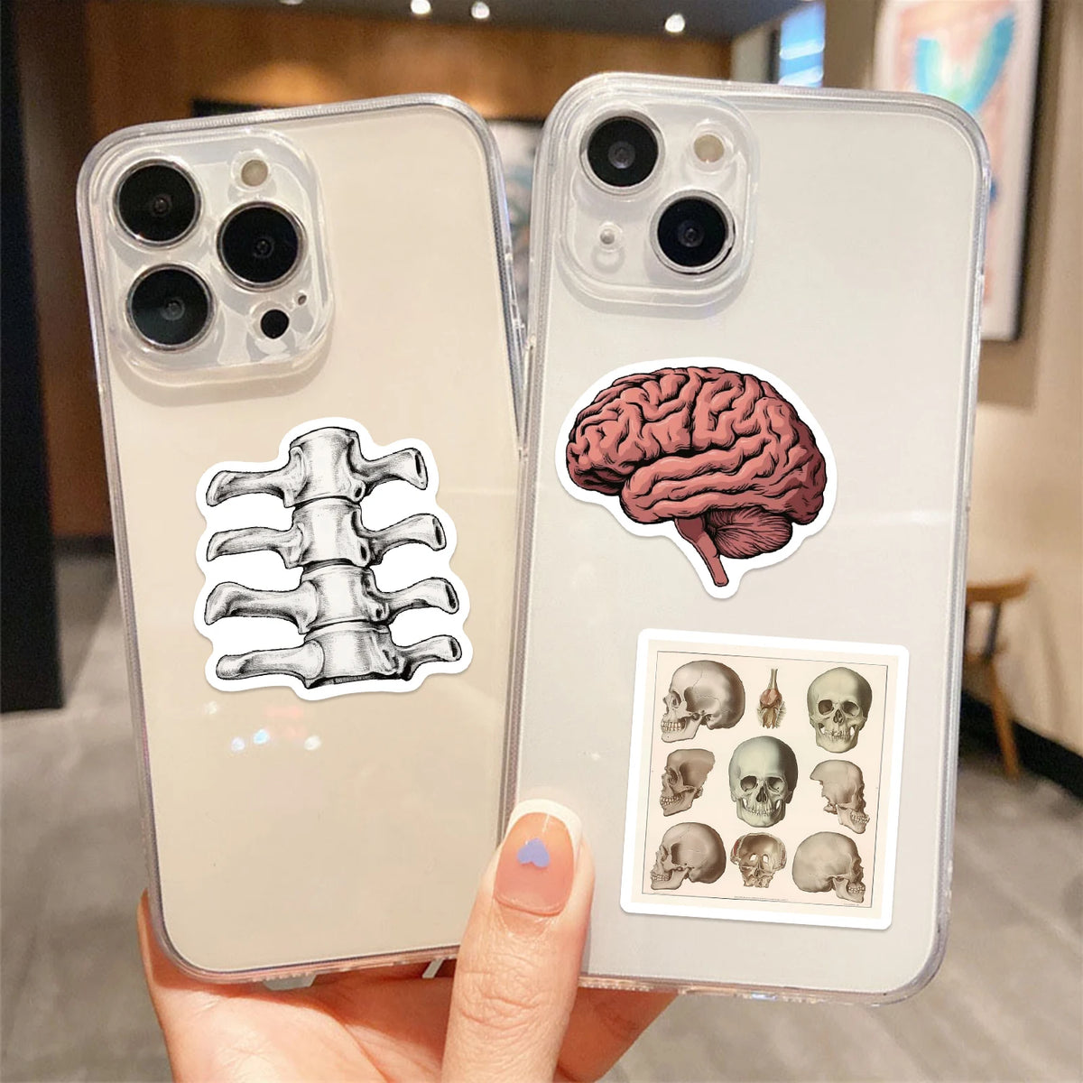 50pcs Retro Scientific Anatomy Stickers Waterproof PVC Decals for Laptops Scrapbooks Guitars Phones & More