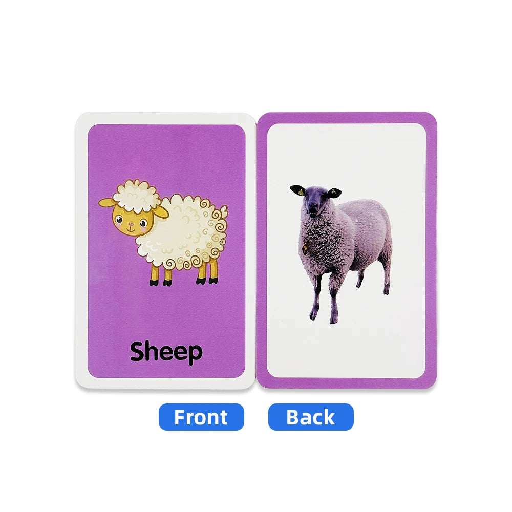36 Double-Sided Animal Recognition Cards for Kidsren's Enlightenment and Learning through Pictures, Paper-Based Fun Teaching Cards