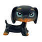Rare pet toy Stands Short Hair Kitten Dog Dachshund Collie Spaniel Great Dane Original Bobble head toy lps